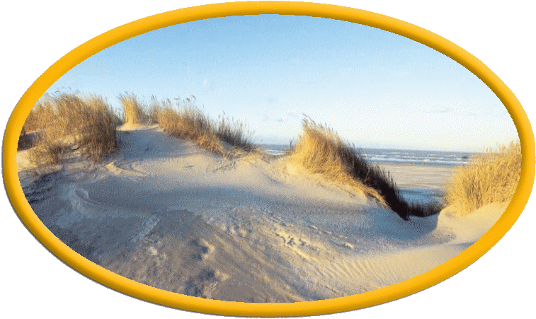 Datei:Mittlere Sandinsel Logo.png