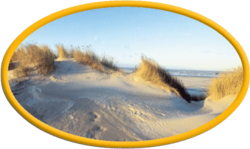 Mittlere Sandinsel Logo.png